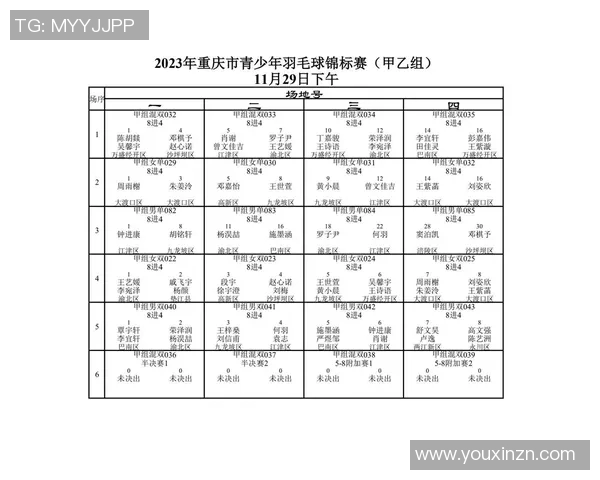 重庆羽毛球队整体压制战术解析与实战应用探讨