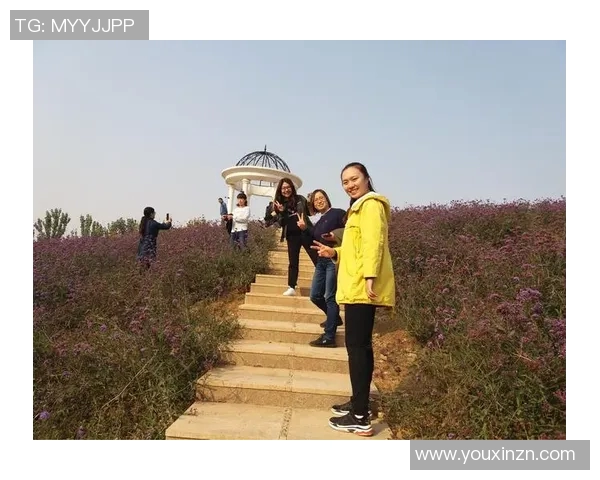 WE战队的拼搏之路与荣耀时刻的深度解析与回顾