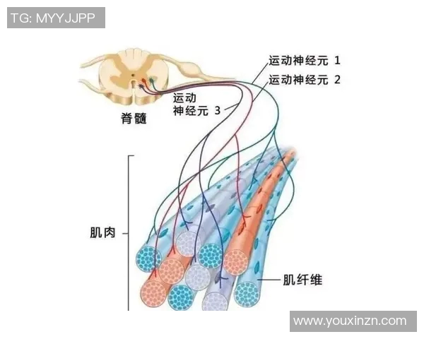 杭州攀岩队灵活性分析与提升策略探讨之攀岩焦点